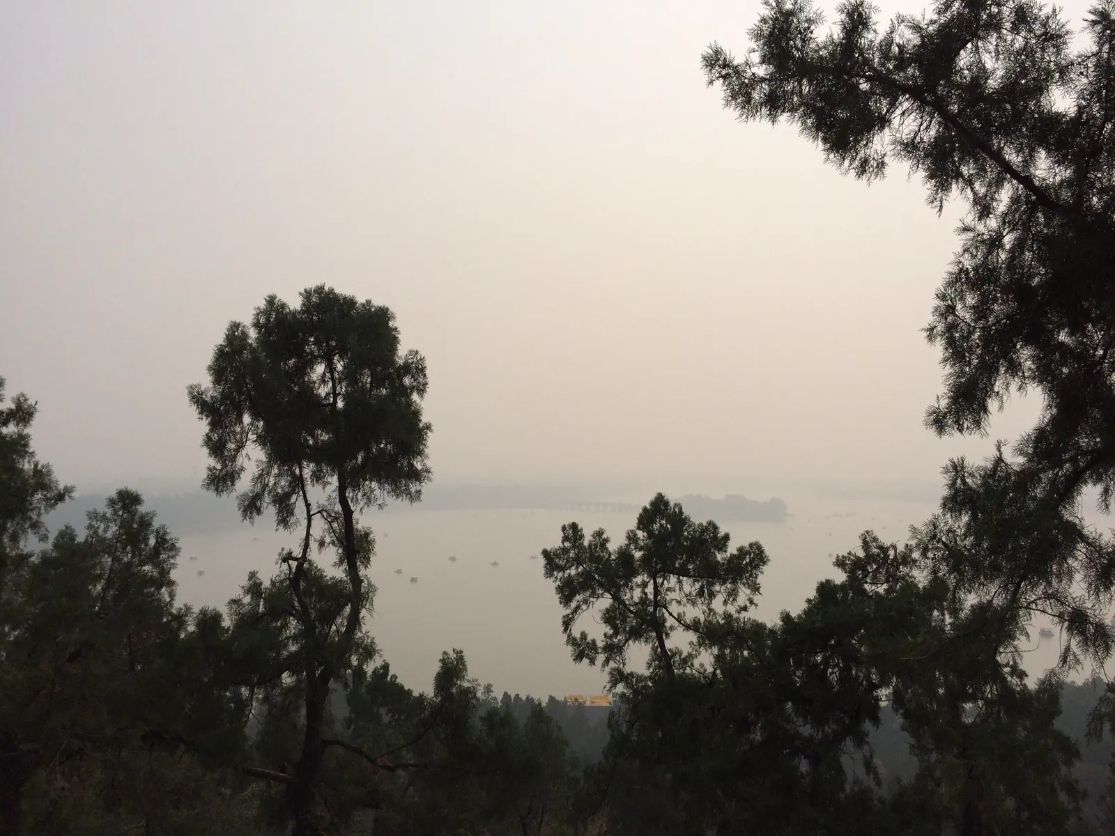 Silhouetten van bomen boven een meer in de ochtendmist in China