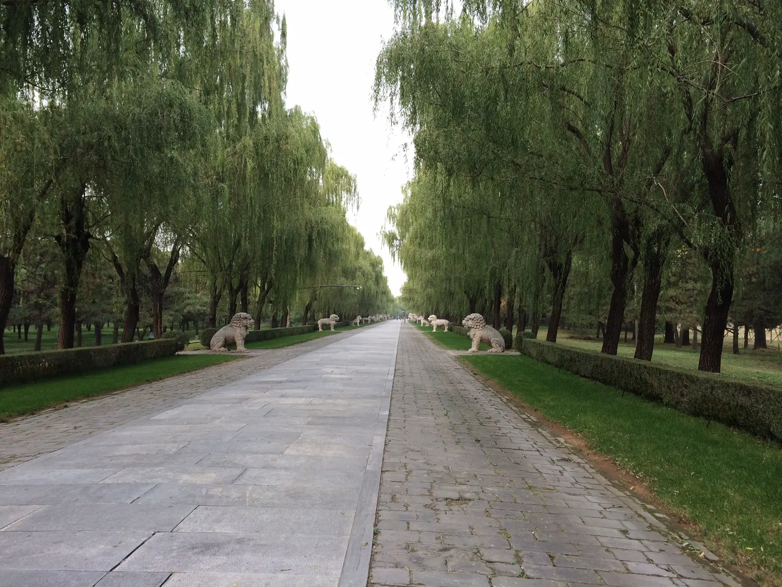 Een rustige laan met treurwilgen in China