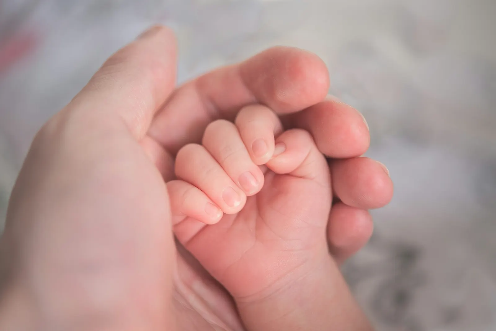 Een babyhandje dat veilig in de hand van een volwassene ligt