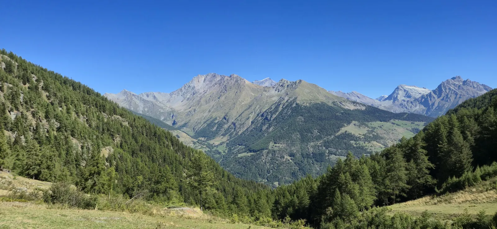 Een rustig bergdal met beboste hellingen aan beide kanten en besneeuwde toppen onder een strakblauwe lucht